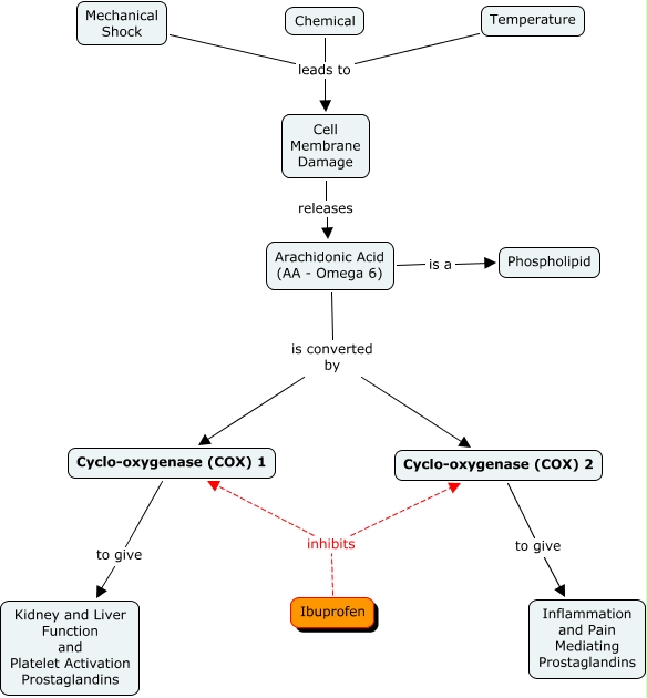 Ibuprofen and the Pain Pathway alternate version just a try